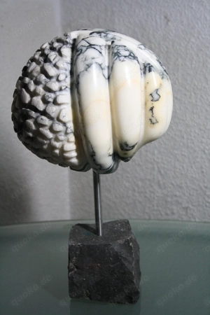 Marmor Kunst Skulptur Gehirn Marmorskulptur Unikat