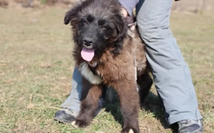 Slash ist auf der Suche nach dir