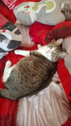 Lizzy wartet auf ihr Ticket ins Glück