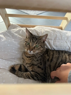 Luna 2,5 J. alt Kinderliebe Entdeckerin sucht Freiheit