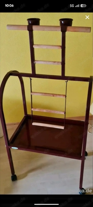 Vögel Freisitz . Spielplatz Für Papageien  Bild 5