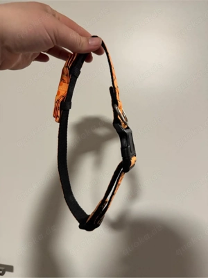 Halsband Halloween mit Schleife 