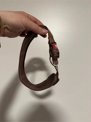 Halsband Neopren Braun 