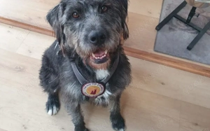 Schenkst du Melody eine Familie?