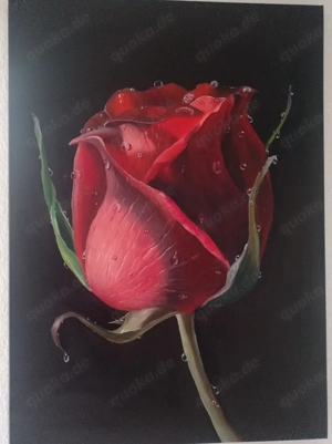 Ölgemalde Leinwand 50x70 cm 