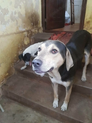 Spezialisten gesucht für unseren Big Boy