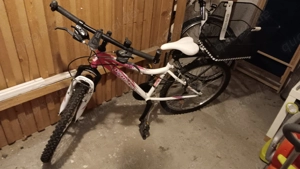 Mountainbike Mädchen   24 Zoll   18-Gang Shimano-Schaltung