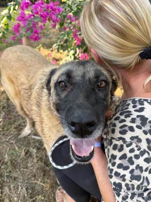 Strahlemaus Leni sucht ihr Glück 