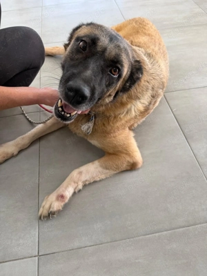 Strahlemaus Leni sucht ihr Glück 