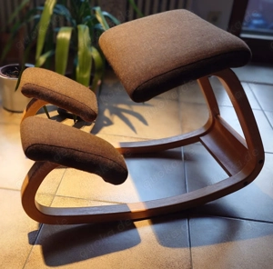 Vogel-Balans - der Sitz für einen gesunden Rücken