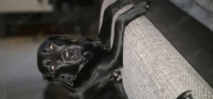 Wir erwarten Nachwuchs 