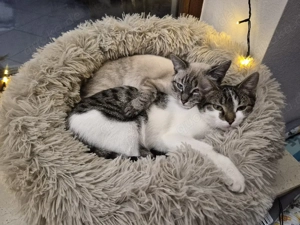 unsere Mäuse dürfen ausziehen 