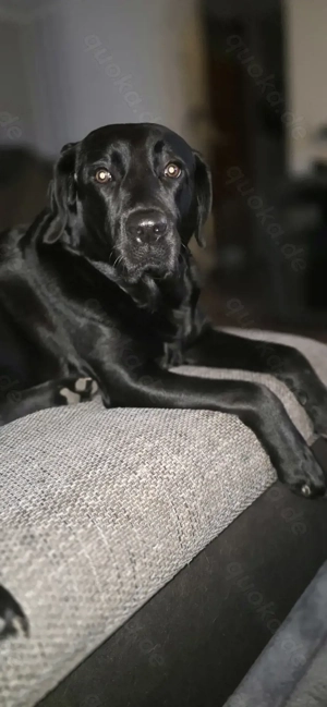 Wir erwarten Nachwuchs 