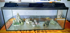 Aquarium in gutem Zustand