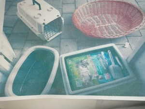 Katzen - Starter - Zubehör zu verkaufen