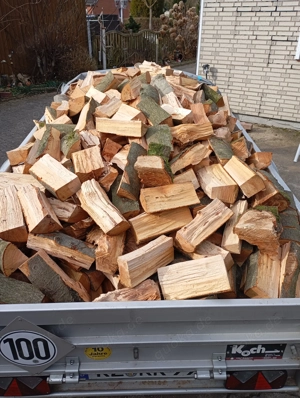Kamin- Brennholz Buche SRM  100 inkl Lieferung 10km um Geesthacht