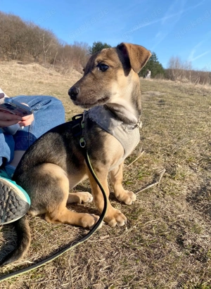 Goldige Burita will eine eigene Familie