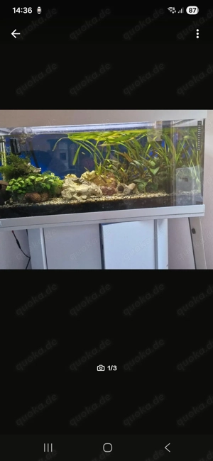Aquarium 120l bis 200l  u verkaufen 