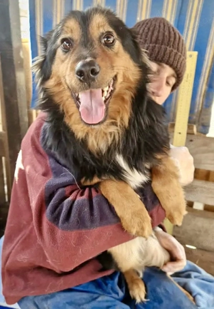 Junger Traumbursche Larry