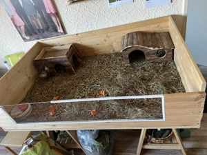 Zwei Meerschweinchen-Jungs