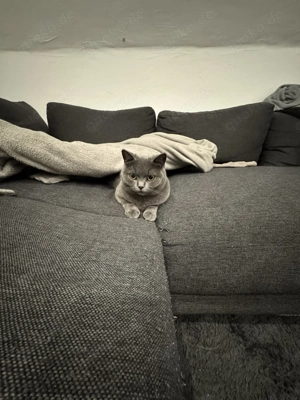 Liebevolles Paar abzugeben 