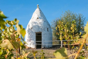Rheinhessen Aktiv Treff