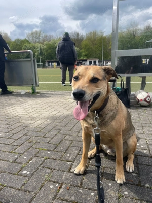 Kuba - Zuhause gesucht Bild 7