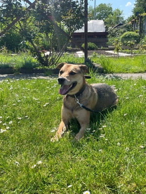 Kuba - Zuhause gesucht Bild 3