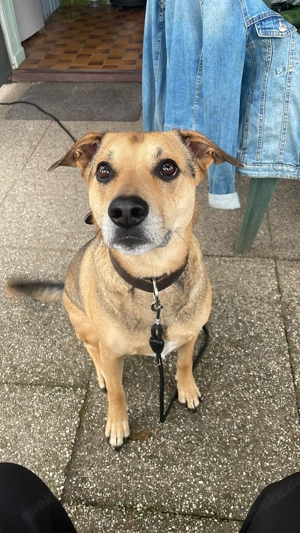 Kuba - Zuhause gesucht Bild 5