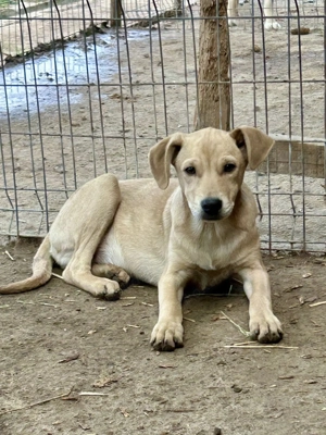 Caspar - wie Müll entsorgt -  sucht endlich sein Glück