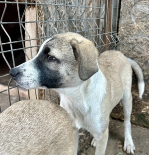 Bosse wartet auf seine Familie