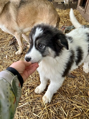 Maxi - Vorsicht bei zuviel Süßem