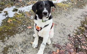 Kleiner Wonneproppen Jakko