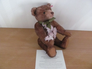 STEIFF Club-Teddy Cherry, 33cm, rotbraun Bild 5