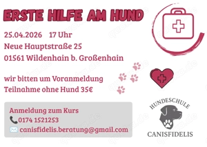 Hund Erste Hilfe Kurs