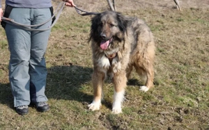 Elin sucht noch ihr Körbchen Bild 3