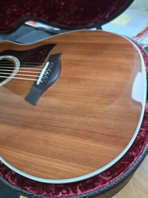 taylor414 ce ltd sinker redwood