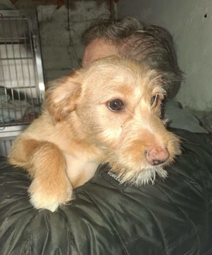 PENNY sucht das Glück