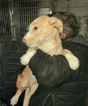 BUZZ wünscht sich seine eigene Familie