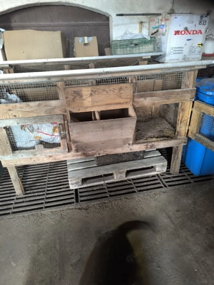 Kaninchen Käfig zu verkaufen 