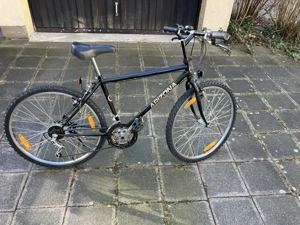 Herrenrad Garagenrad