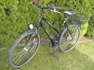 Trekking City Bergamont Alu Damenrad