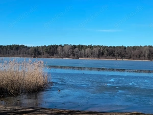 Lebensältere Frau sucht passenden Mann für eine verlässliche Freundschaft+