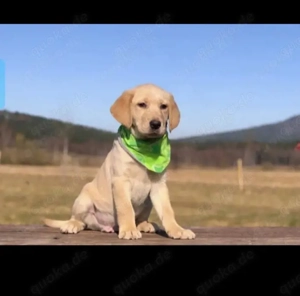 Finanzielles Interesse ja 