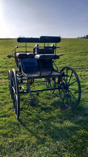 Glinkowski Dressurkutsche 