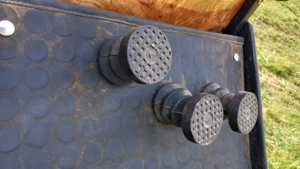 Glinkowski Dressurkutsche  Bild 3