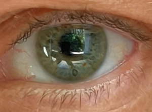 Netter Kerl sucht nette Frau 