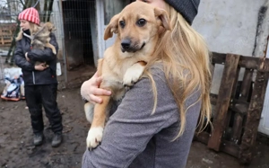 Pompom, ein wahres Goldstück!