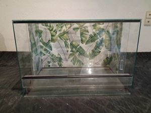 Glasterrarium 60x40x40