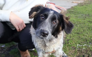 Kascha und du, wäre das was?